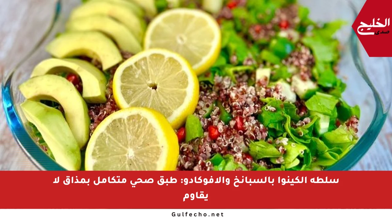 سلطة الكينوا بالسبانخ والأفوكادو: طبق صحي متكامل بمذاق لا يقاوم